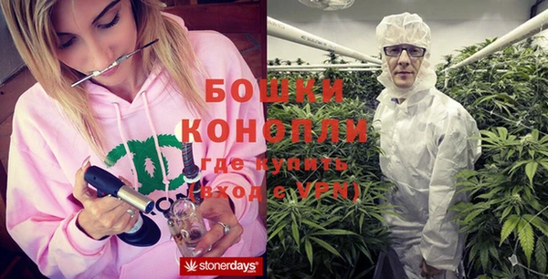 MESCALINE Иннополис