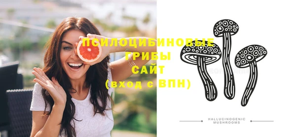 кокс Инсар