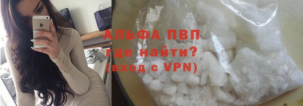 кокс Инсар