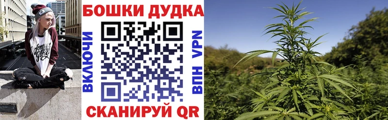 Купить где  Петушки  Каннабис OG Kush 